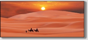 Best Merzouga Tours - Website design Gomarnad Maroc