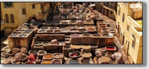 Best Merzouga Tours - Website design Gomarnad Maroc